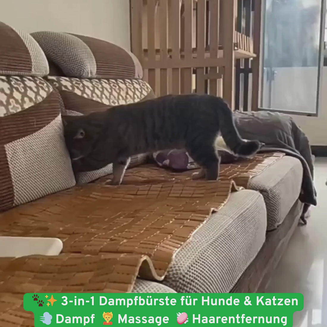 Katzen Pflege Kamm Hunde
